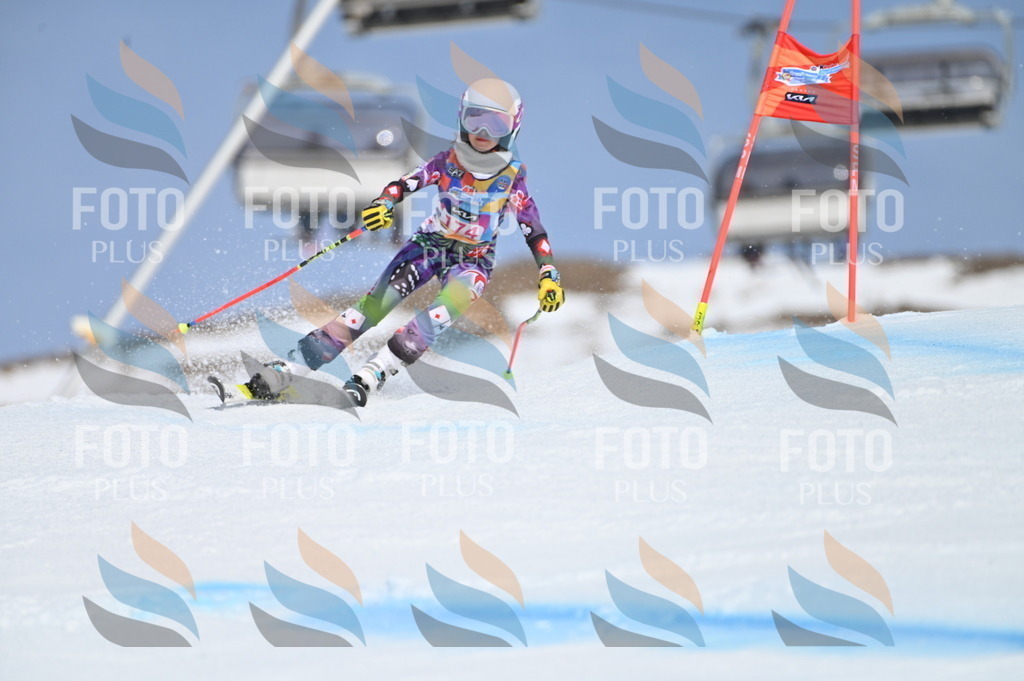 BGV_0498 | holidayphoto