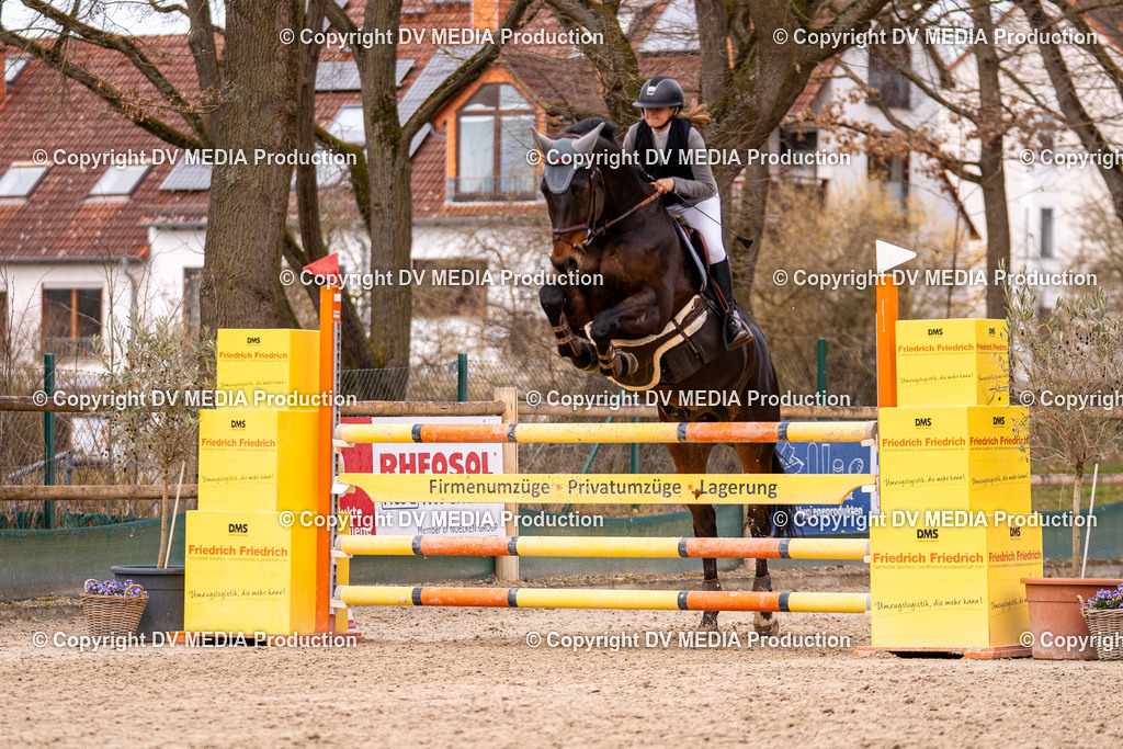 Kranichstein Tag 2-647 | dv-media-shop - Realisiert mit Pictrs.com