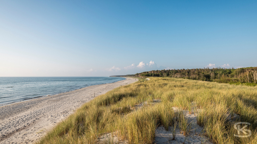 Weststrand Fischland-Darß-Zingst – Naturstrand mit Dünen und Ostsee | Der Weststrand auf Fischland-Darß-Zingst beeindruckt mit wilder Natur, Dünenlandschaften und weitem Blick über die Ostsee. Ein ursprünglicher Küstenabschnitt im Nationalpark Vorpommersche Boddenlandschaft. - Realisiert mit Pictrs.com