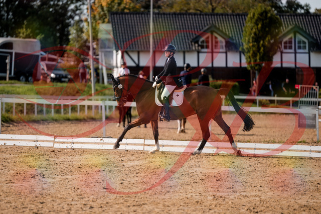 2026_10_03_Siefer-Hof_131709_Z63_78510107 | Professionelle Reitsport-, Turnier- und Eventfotografie von Robert Broda. Galerien mit ausgewählten und bearbeiteten Bildern direkt online ansehen und bestellen.