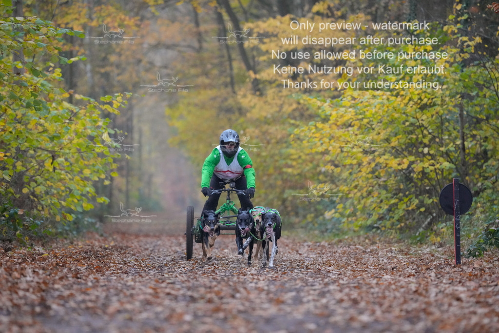 Rigs4bis8So-27 | stephaniefillaphotographie - Realisiert mit Pictrs.com