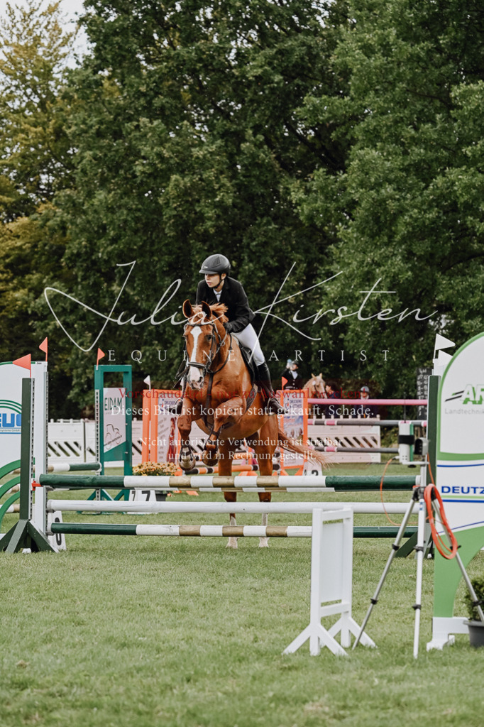 DSC_6857 | Pferde- und Turnierfotografie in Westsachsen. Pferdeportraits, Auftragszeichnungen und intuitive Kunst.