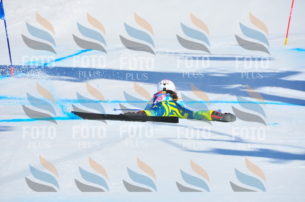 DSC_4238 | holidayphoto