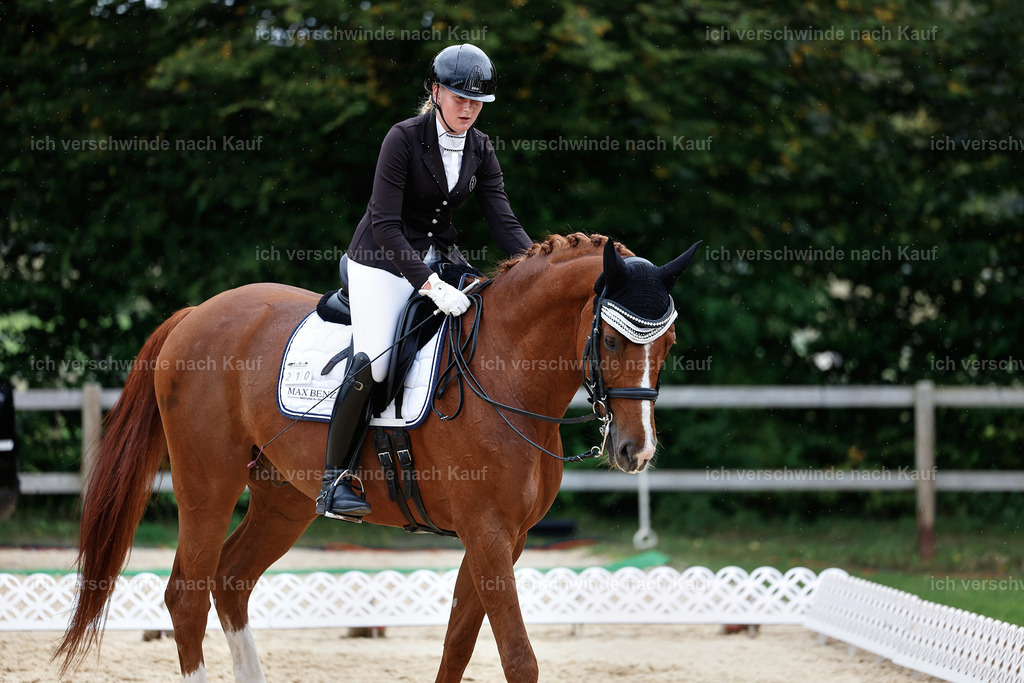 3-210-Dressur M_-StoibPH-2482 | working equitationturnier fotograf videograf stoibphotography marixx film working equitation deutschland reitsport turnierfotografie eventfotografie equestrian events