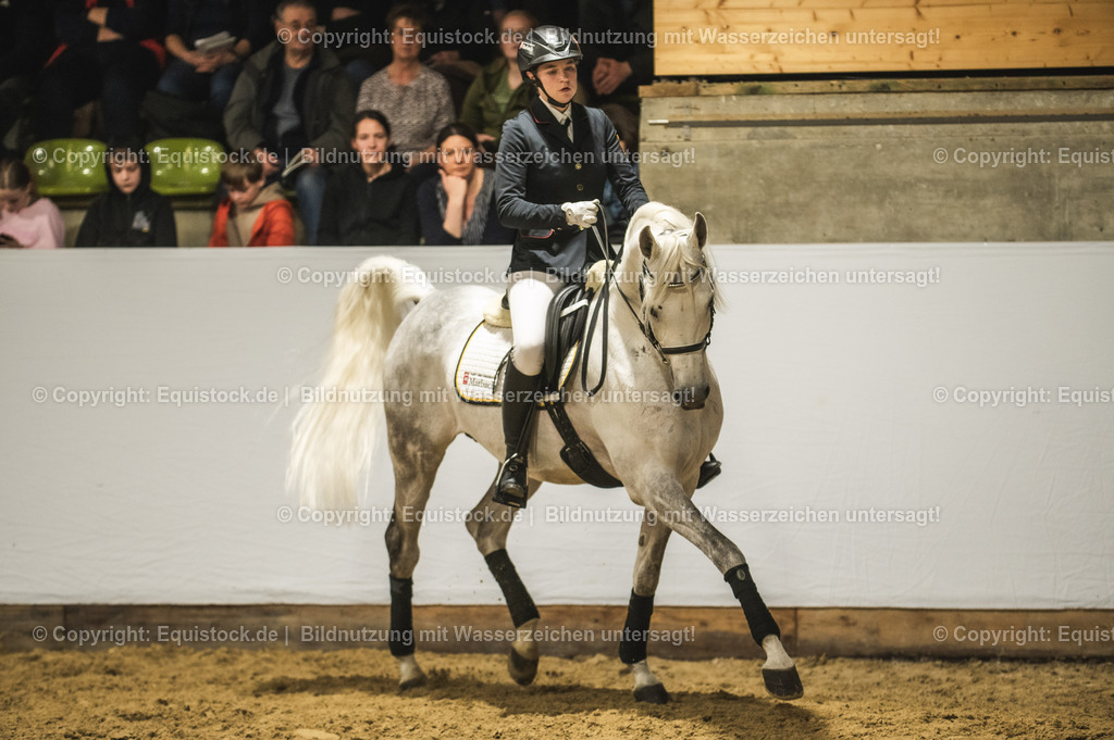 20240302_Hengstvorstellung_Marbach_TOMsPiC_1050-2 | equistock