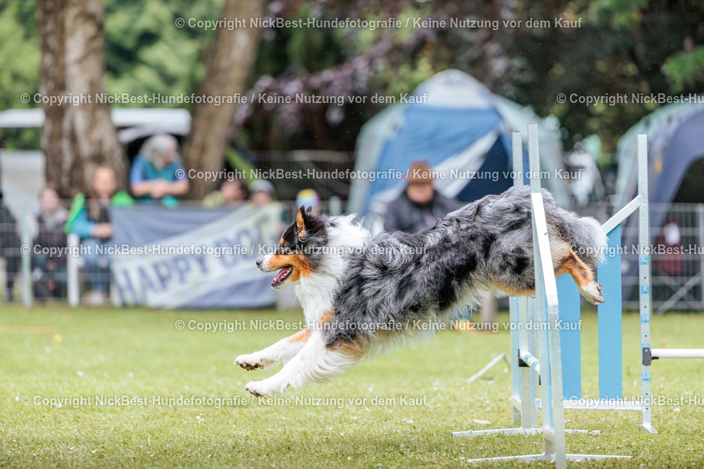 RO-Blumenthal-2026-Nickbest-Hundefotografie-4399 | Dein Hund! Dein Moment! Deine Erinnerungen! Hundefotografie in Bremen Blumenthal. Ich fange die besonderen Momente deines Vierbeiners ein – ob Indoor mit Blitzanlage oder in der freien Natur. Sicher dir dein Moment und dein Termin für eure Erinnerungen.