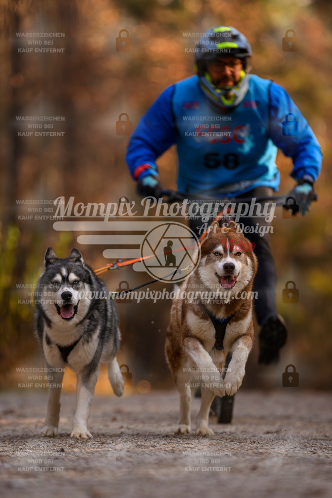 MompixPhotography_DM_AKDM_SO_2025_Scooter-69 | PayLife