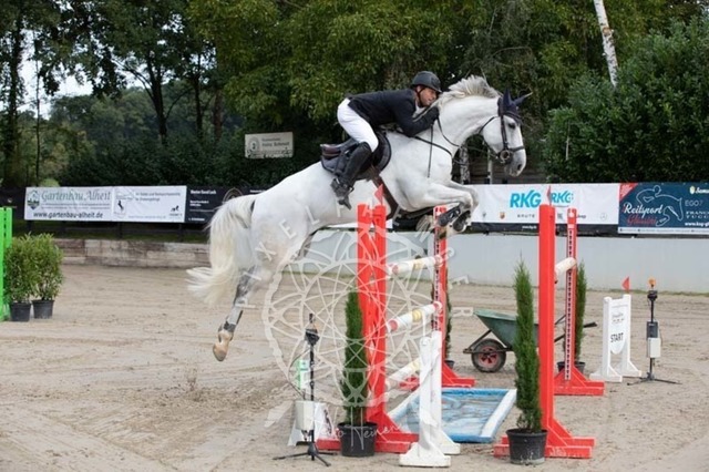 2B4A1152 | pixelfaenger - Realisiert mit Pictrs.com