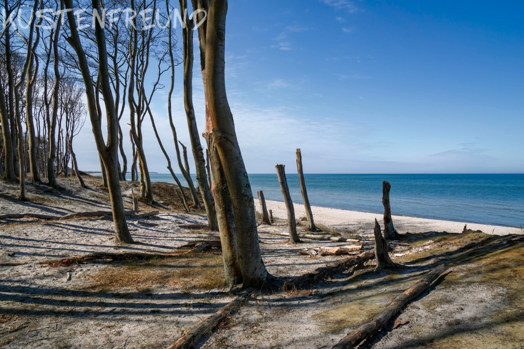 DSC6220 | Entdecke deine Lieblingslandschaft von der Küste – auf Ostsee Leinwand, Nordsee Leinwand, Alu Dibond oder Acrylglas, passend für jeden Geschmack und Raum.