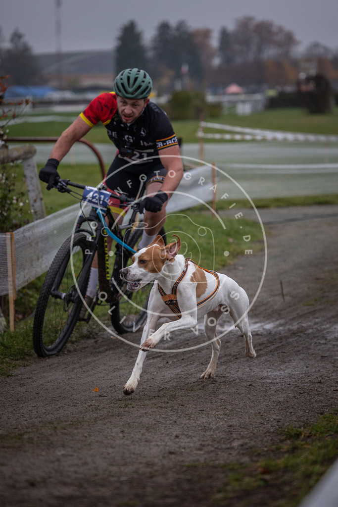 CaniXpix_0L8A1485 | Hundefotografie, Tierfotograf, Pfotenfotografie, Fotoshooting Hund, Hunde Portrait, Hundesport, Hundeportraits, Heideshooting, Hunde, Sportfotograf, Hundefotograf, Turnierhundsport, THS,  - Realisiert mit Pictrs.com