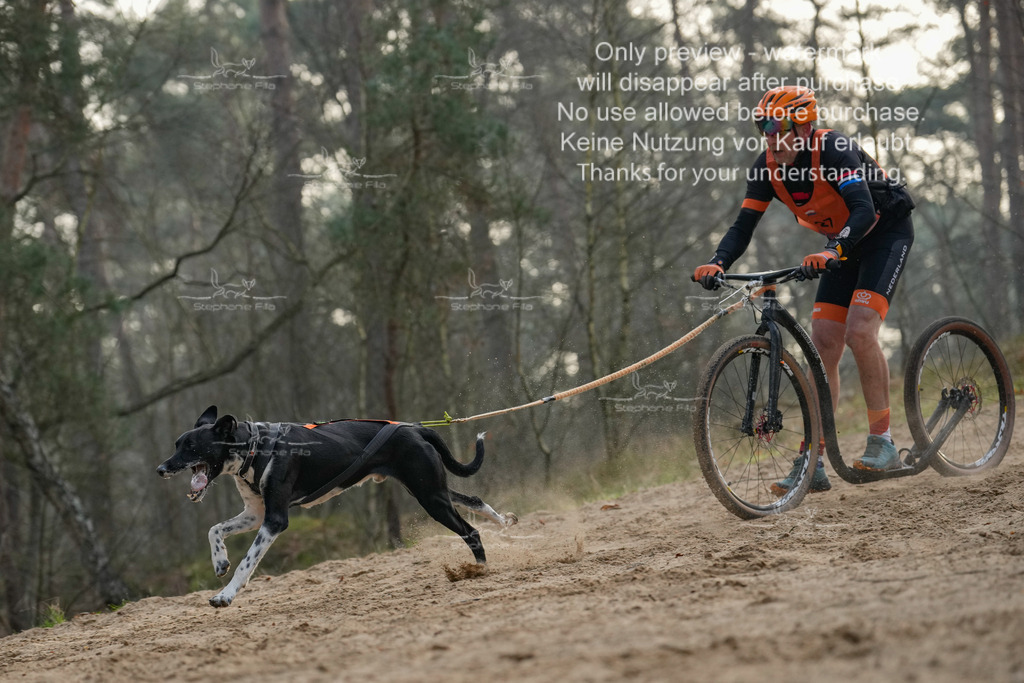 Scooter1-159 | stephaniefillaphotographie - Realisiert mit Pictrs.com