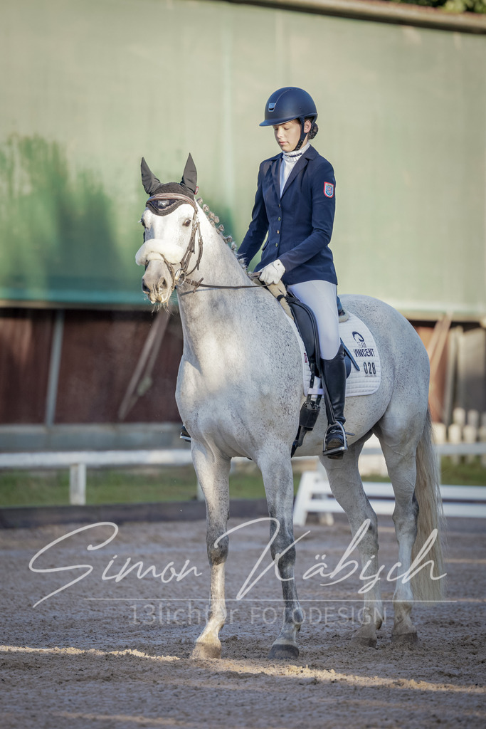 20250906-_3LI2647 | Tierfotografie Pferde, Hunde, Katzen, Haustiere.
Turnierfotografie Reitturniere, Reiten, Springreiten, Dressur in Hanau, dem Main-Kinzig-Kreis und dem Rhein-Main- Gebiet um Frankfurt