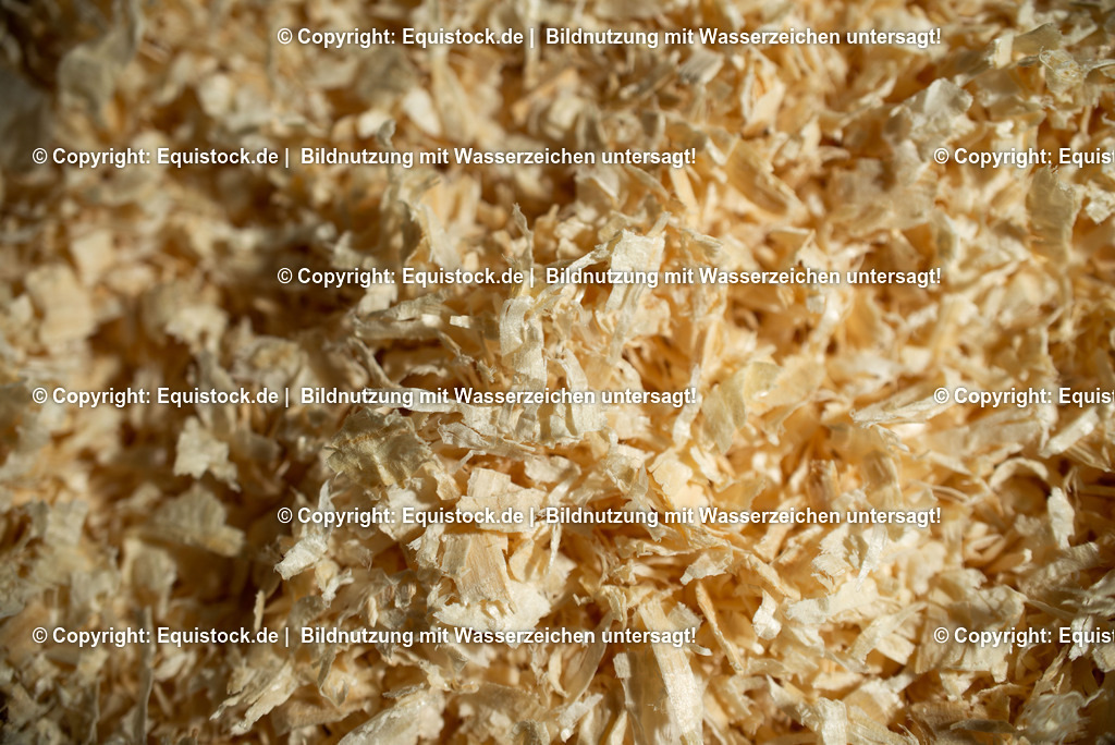 20190409_Classic_0005 | Foto: Thomas Hartig