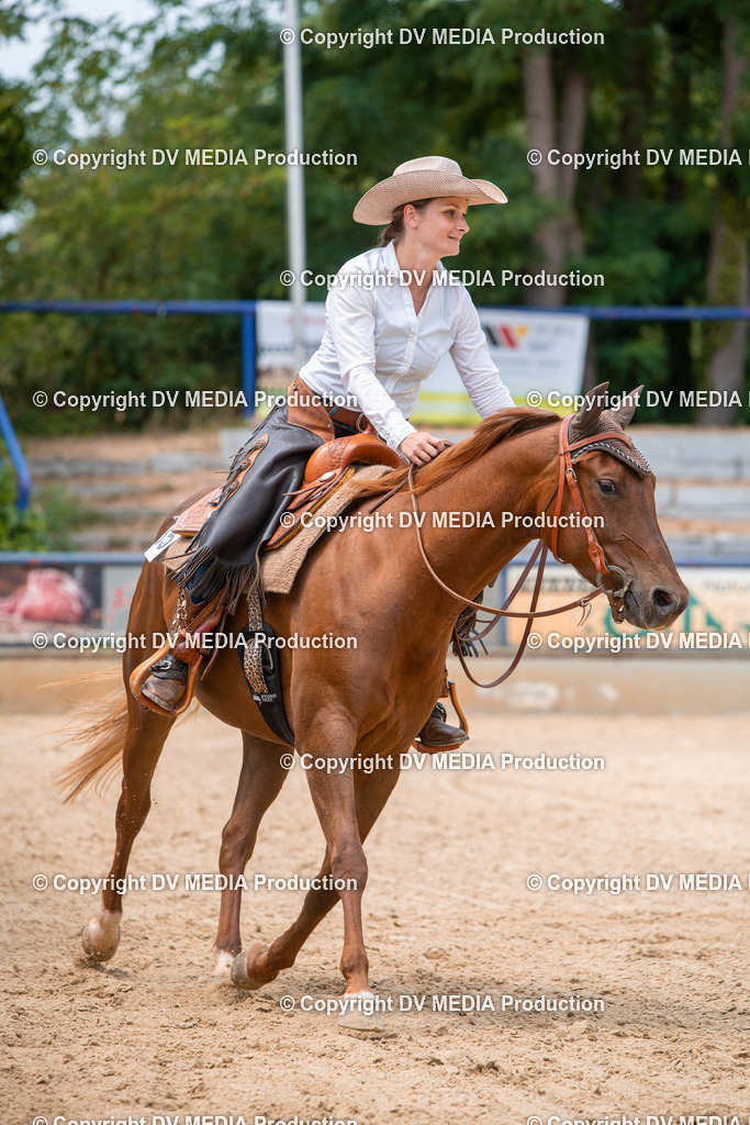 EWP_6275 | dv-media-shop - Realisiert mit Pictrs.com