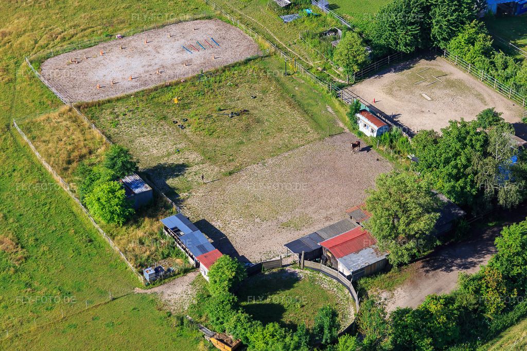Luftbild: Pferdekoppel am Dörniggraben in Minfeld im Bundesland Rheinland-Pfalz in Deutschland. Foto: IMG_083101.jpg vom 26.06.2015 durch Werner Riehm/FLY-FOTO.de