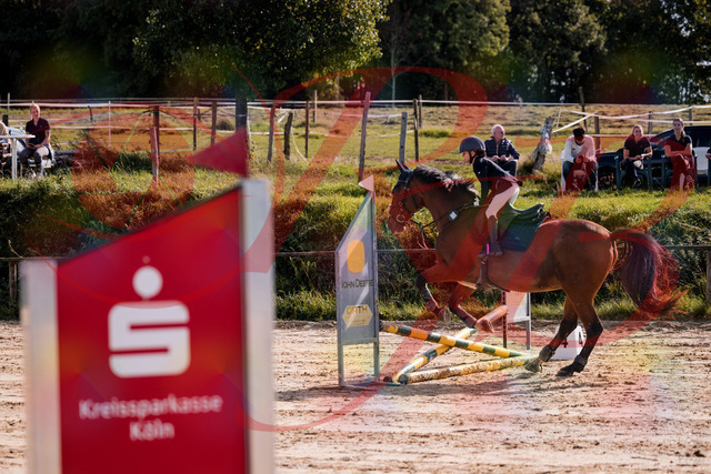 2026_10_03_Siefer-Hof_143811_Z81_08042881 | Professionelle Reitsport-, Turnier- und Eventfotografie von Robert Broda. Galerien mit ausgewählten und bearbeiteten Bildern direkt online ansehen und bestellen.