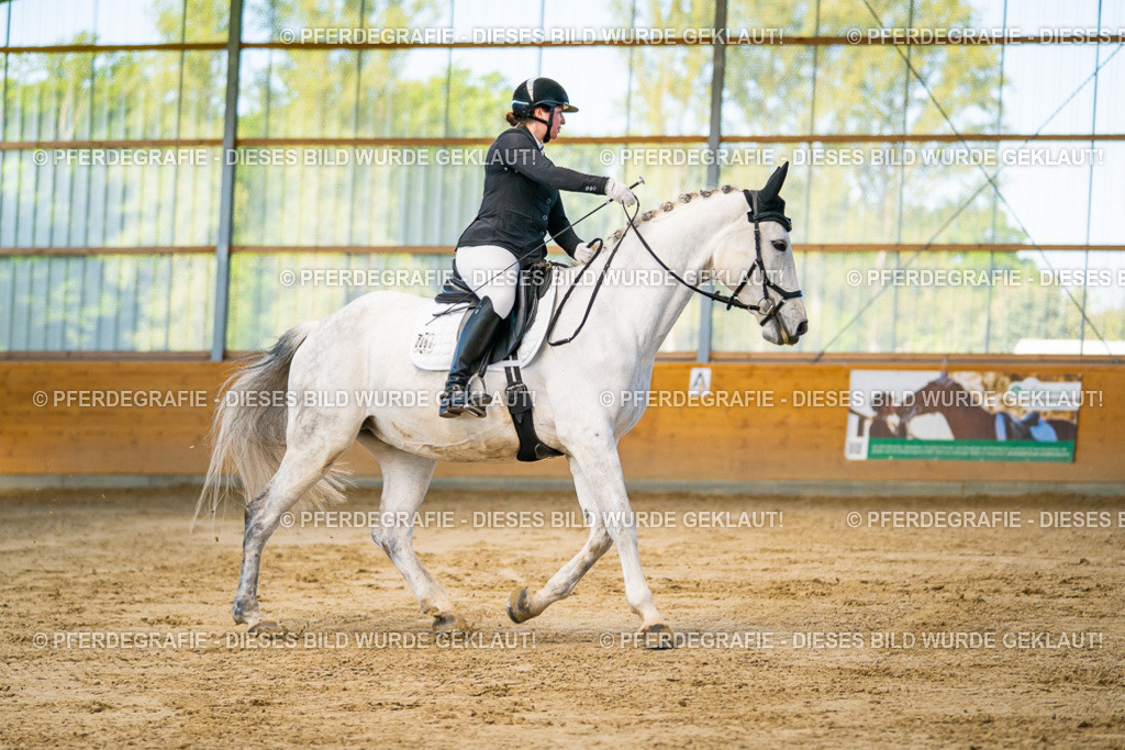 DSC06234 | Pferdegrafie