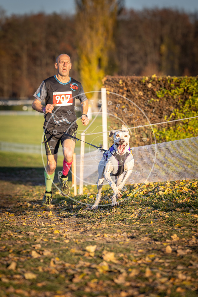 CaniXpix_DV3A4732 | Hundefotografie, Tierfotograf, Pfotenfotografie, Fotoshooting Hund, Hunde Portrait, Hundesport, Hundeportraits, Heideshooting, Hunde, Sportfotograf, Hundefotograf, Turnierhundsport, THS,  - Realisiert mit Pictrs.com