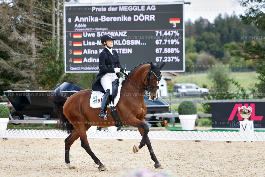 11-003-Dressur S___-StoibPH-1052 | working equitationturnier fotograf videograf stoibphotography marixx film working equitation deutschland reitsport turnierfotografie eventfotografie equestrian events
