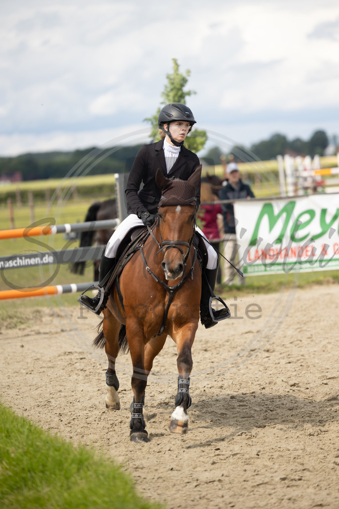 994A9472 | sabrinanicolaifotografie - Realisiert mit Pictrs.com