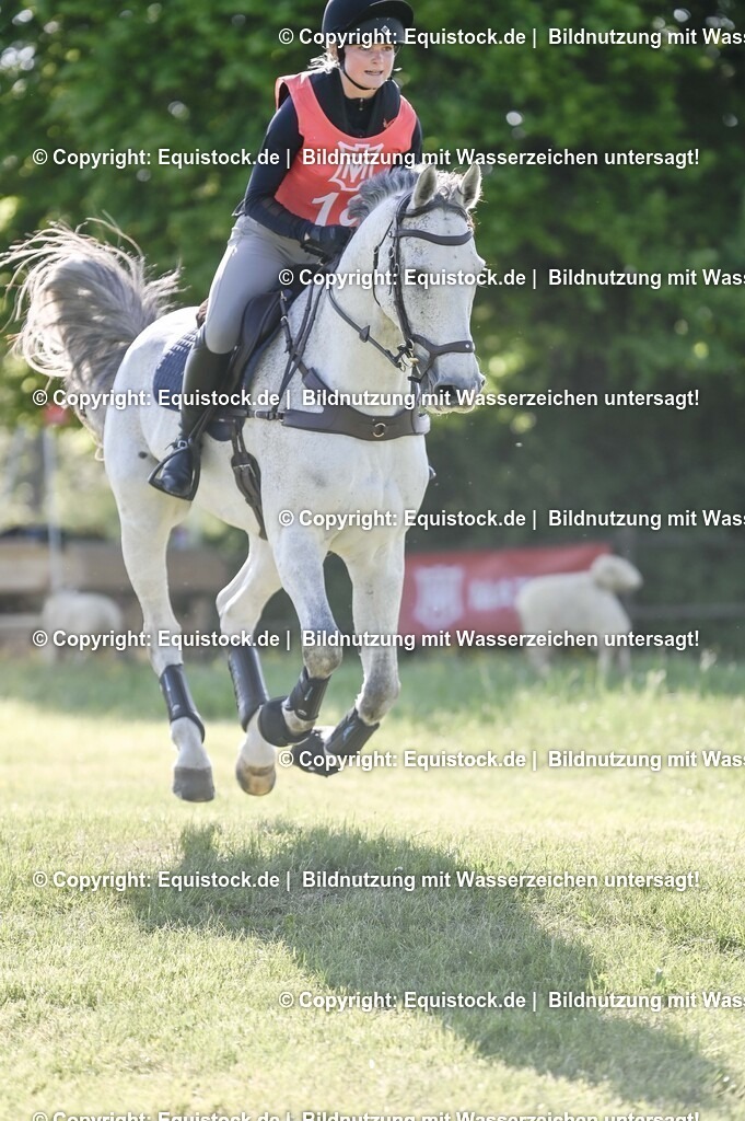 20250517_CCI2_Gelände_0499 | Foto: Thomas Hartig