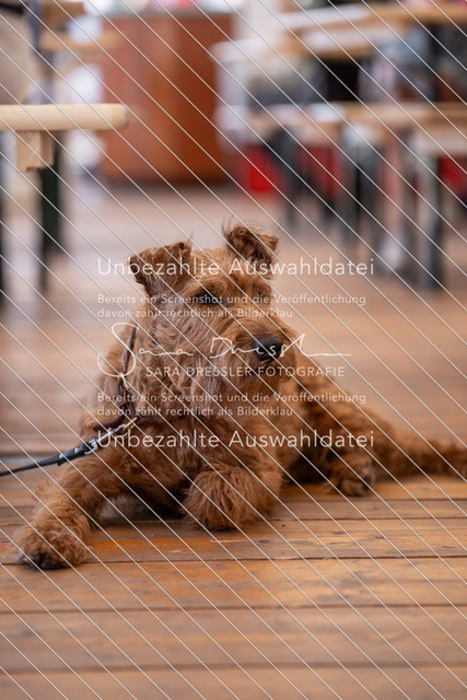 LR261_SD_05605 | saradresslerfotografie - Realisiert mit Pictrs.com