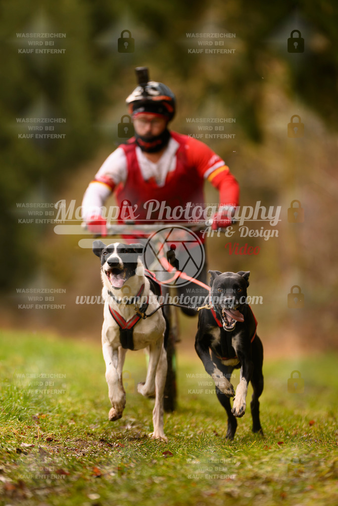 MompixPhotography_2SSTSSBW_2025_SO_Scooter-69 | PayLife