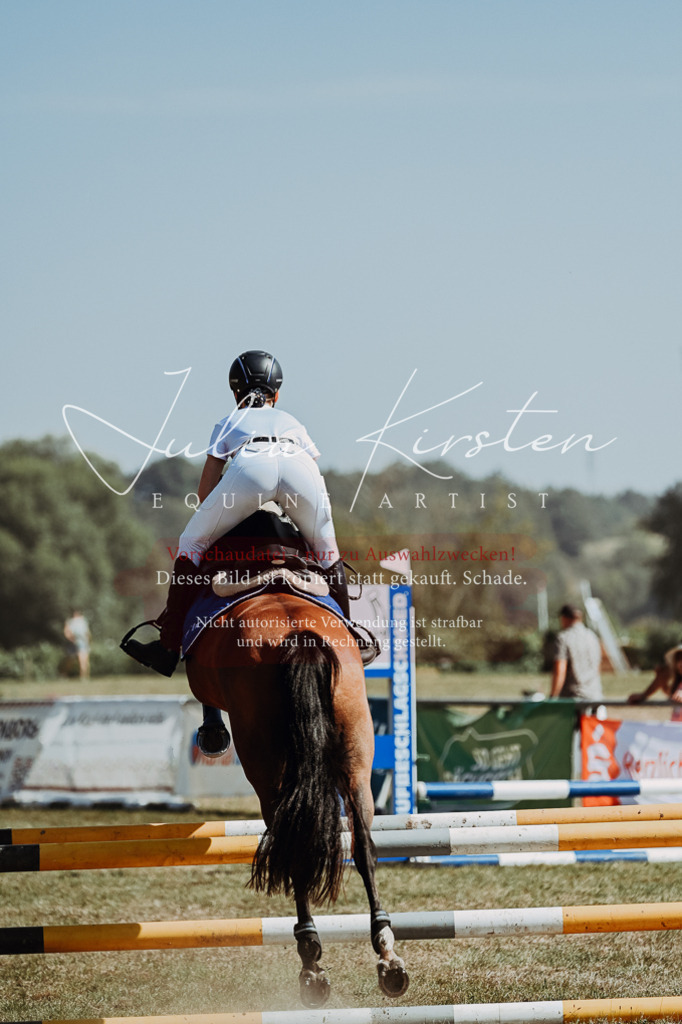 DSC_9626 | Pferde- und Turnierfotografie in Westsachsen. Pferdeportraits, Auftragszeichnungen und intuitive Kunst.