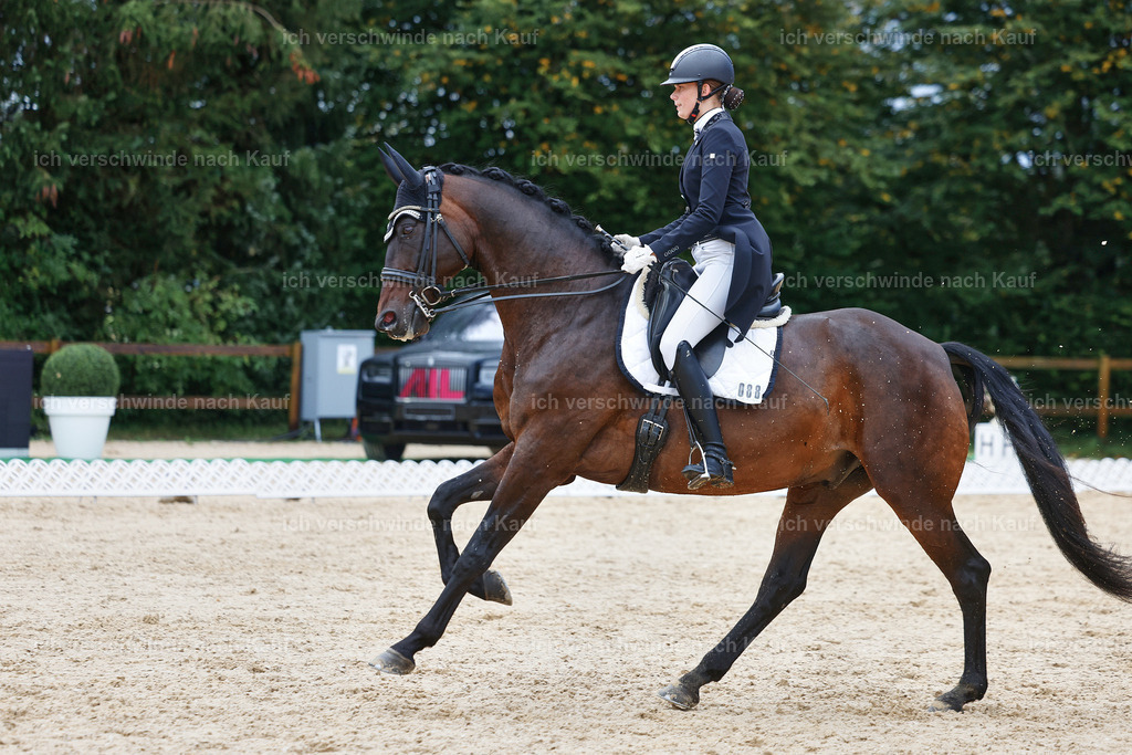 8_2-088-DRESSUR S_  -StoibPH-4443 | working equitationturnier fotograf videograf stoibphotography marixx film working equitation deutschland reitsport turnierfotografie eventfotografie equestrian events