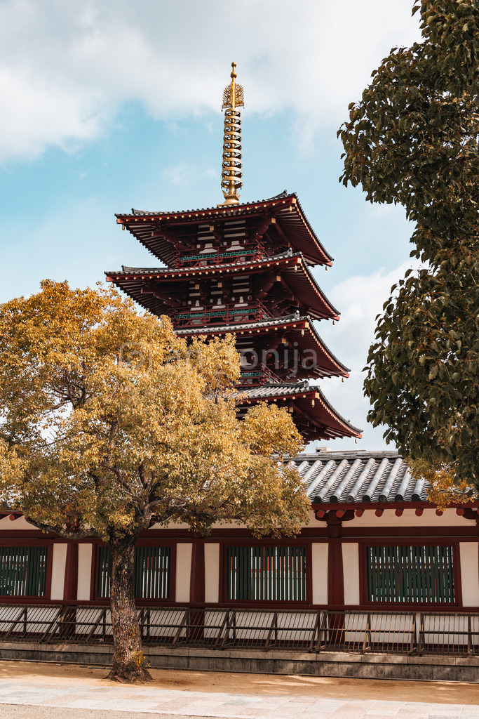 JB3A7872 | antonija-trupina - Realisiert mit Pictrs.com