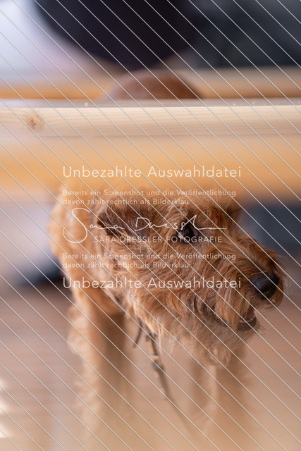 LR261_SD_05537 | saradresslerfotografie - Realisiert mit Pictrs.com
