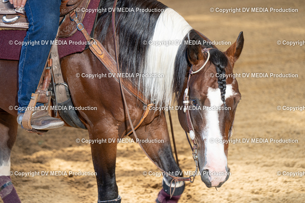 DSC00051-2 | dv-media-shop - Realisiert mit Pictrs.com