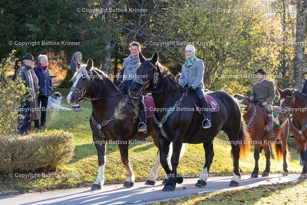 LL24-183 | foto-bettina-krinner - Realisiert mit Pictrs.com