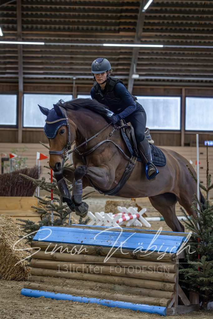 20260222-_3LI2296 | Tierfotografie Pferde, Hunde, Katzen, Haustiere.
Turnierfotografie Reitturniere, Reiten, Springreiten, Dressur in Hanau, dem Main-Kinzig-Kreis und dem Rhein-Main- Gebiet um Frankfurt
