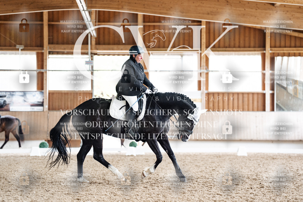 CK901188 | Turnierfotografie Pferdefotografie Trier Rheinland-Pfalz Pferdesport Reitsport Tierfotografie Sportfotografie Pferdevideo Pferdevideografie Equestrianvideography equestrianphotography  - Realized with Pictrs.com