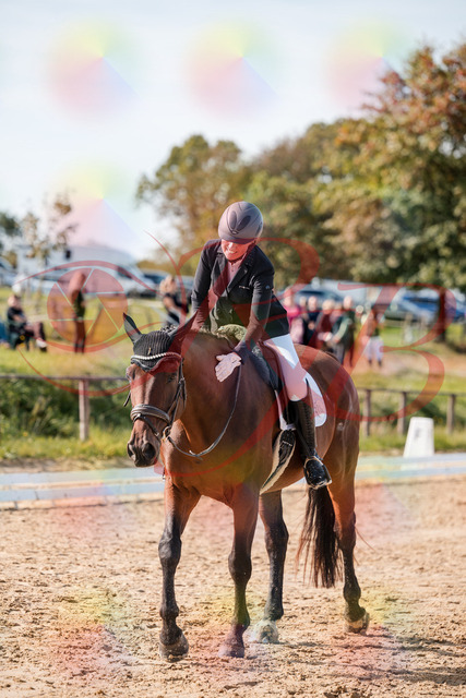 2026_10_03_Siefer-Hof_130547_Z63_69799235 | Professionelle Reitsport-, Turnier- und Eventfotografie von Robert Broda. Galerien mit ausgewählten und bearbeiteten Bildern direkt online ansehen und bestellen.