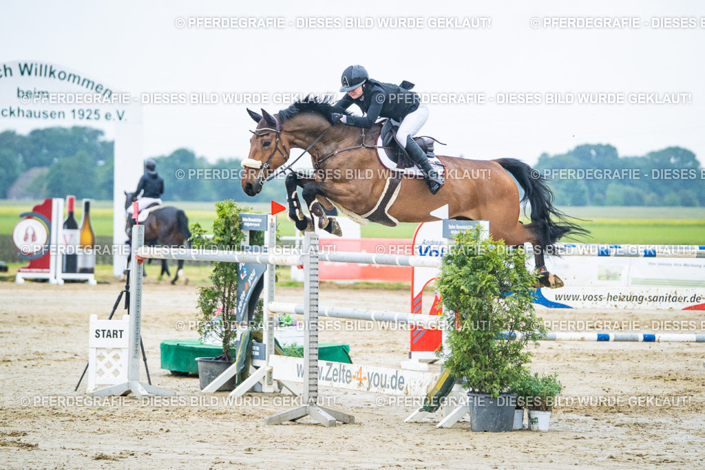 DSC00149 | Pferdegrafie