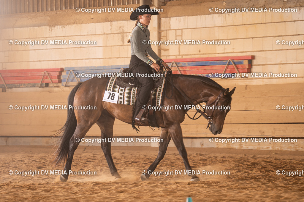 NID00788 | dv-media-shop - Realisiert mit Pictrs.com