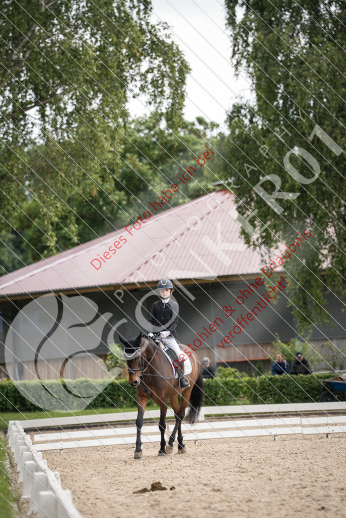 PIR06763 | Sport-, Event- und Tierfotos in Profiqualität. Einfach auswählen, bestellen und herunterladen. Dein Moment – perfekt festgehalten.