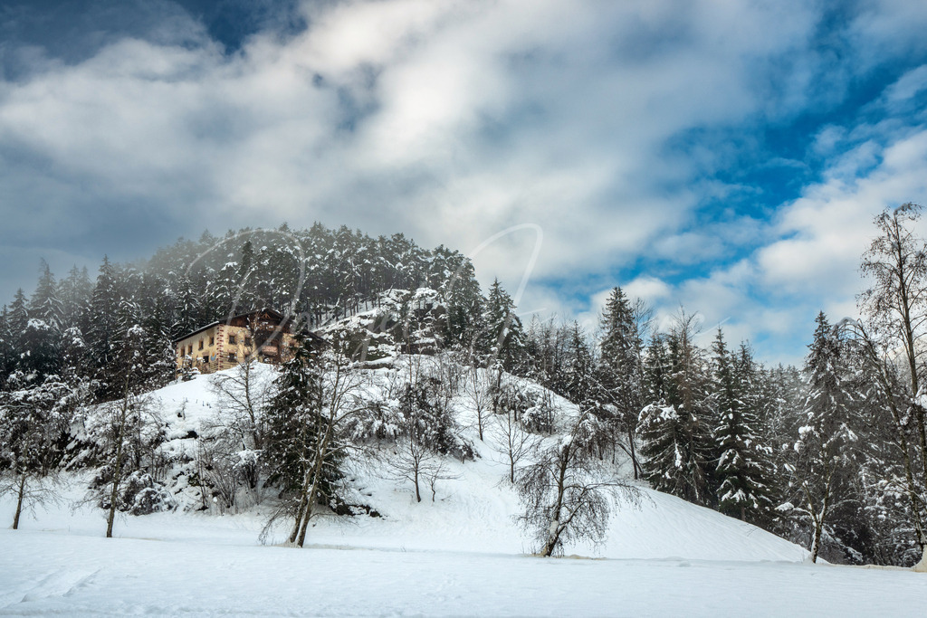 Piburger See | Winter am Piburger See