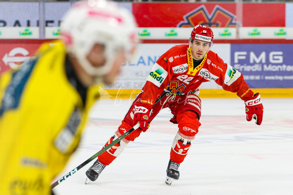 EHCB vs SCB 20260312_wb-4364 | Sportbilder, Sportfotograf, Hochzeits- und Eventfotografin, Flugshows, Portraits und Tiershooting, Aviation, Downhill, Nationalleague, Swissleague, International