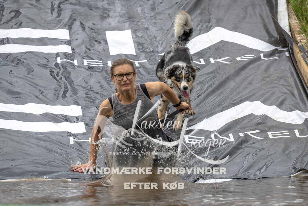 1600_ZZ91926 | kk-dogfotos