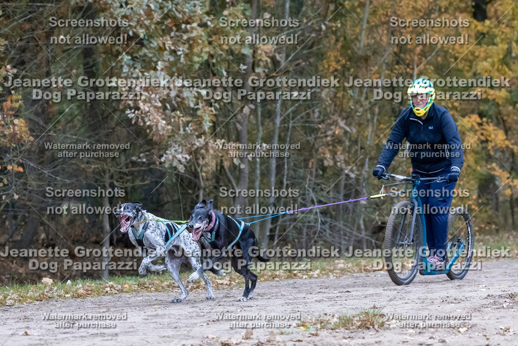 Dog Paparazzi - SD CaniX Championship 2025-164 | Dog Paparazzi Jeanette Grottendiek Fotografie & Videografie - Realisiert mit Pictrs.com