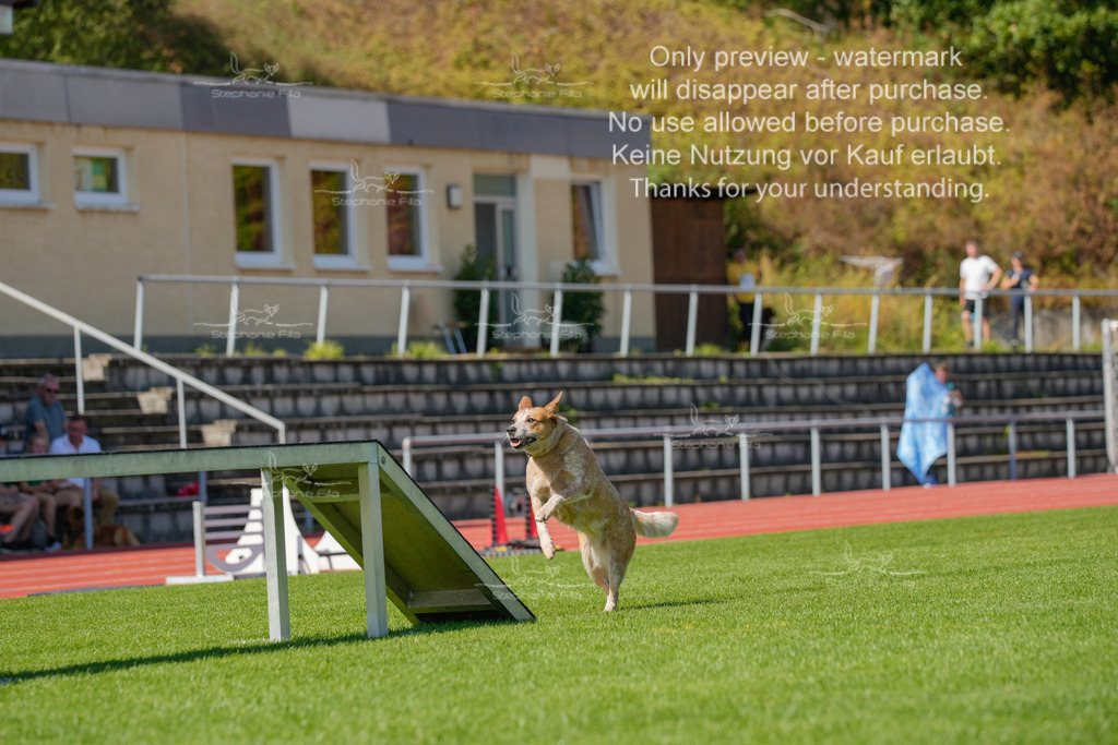 Sonntag_VK Hindernis (523 von 671) | stephaniefillaphotographie - Realisiert mit Pictrs.com