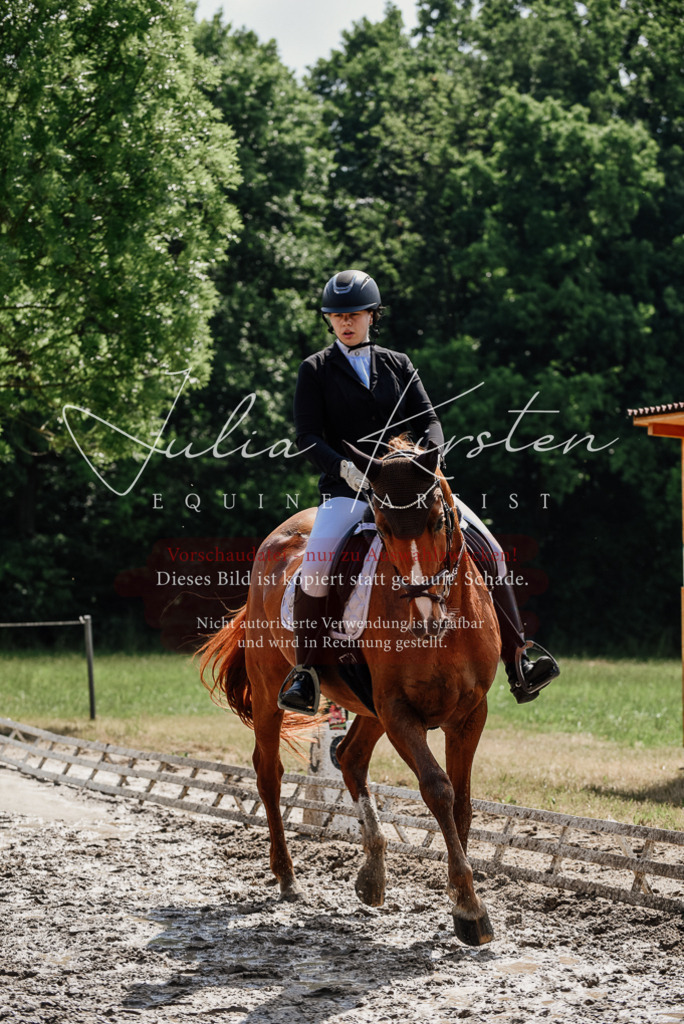 DSC_0270 | Pferde- und Turnierfotografie in Westsachsen. Pferdeportraits, Auftragszeichnungen und intuitive Kunst.