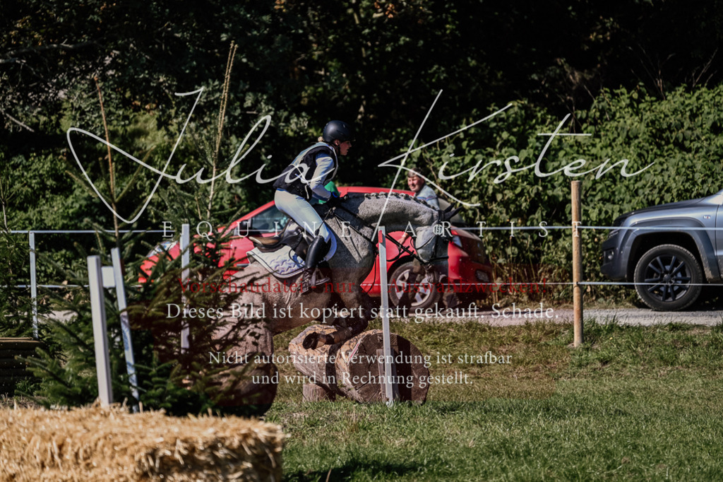 DSC_1404 | Pferde- und Turnierfotografie in Westsachsen. Pferdeportraits, Auftragszeichnungen und intuitive Kunst.