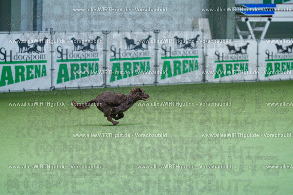 @allesWIRTHgut_Tierfotografie - www.allesWIRTHgut.de - 2604260804-7R506560 | Professionelle Tierfotografie in Mönchengladbach von Daniel Wirth (allesWIRTHgut). Liebevolle & natürliche Bilder von Hunden & Katzen für unvergessliche Erinnerungen.