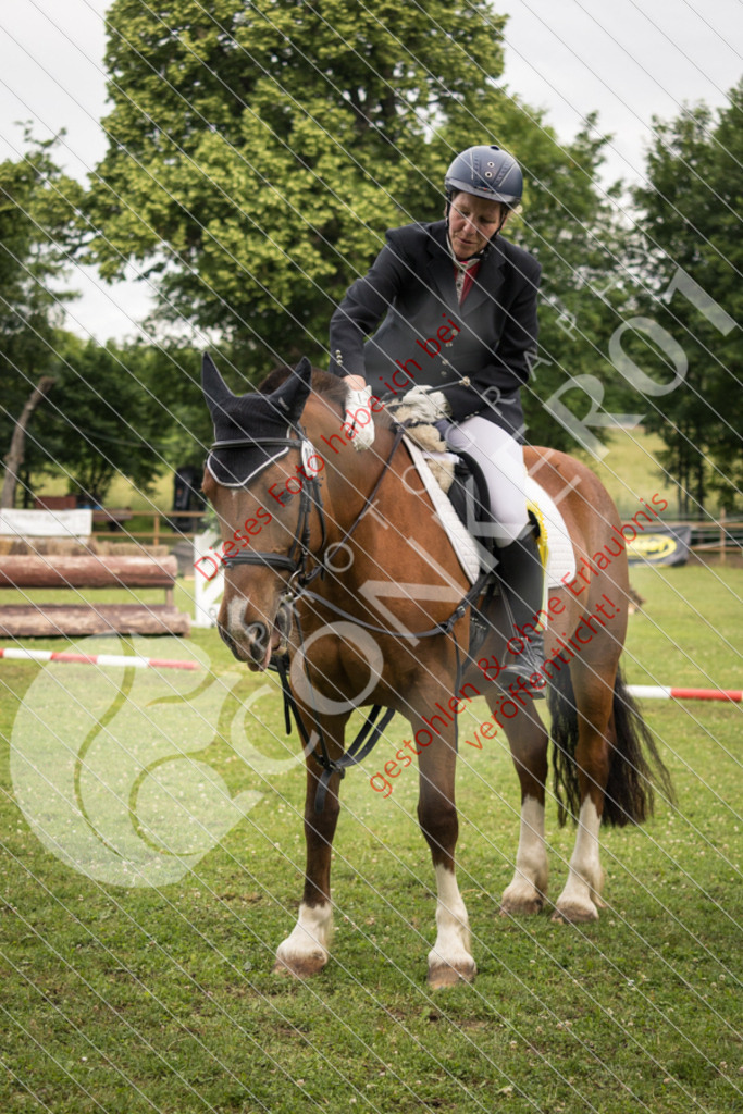 IMG_8470 | Sport-, Event- und Tierfotos in Profiqualität. Einfach auswählen, bestellen und herunterladen. Dein Moment – perfekt festgehalten.