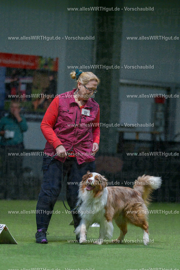 7R500697 | Professionelle Tierfotografie in Mönchengladbach von Daniel Wirth (allesWIRTHgut). Liebevolle & natürliche Bilder von Hunden & Katzen für unvergessliche Erinnerungen.