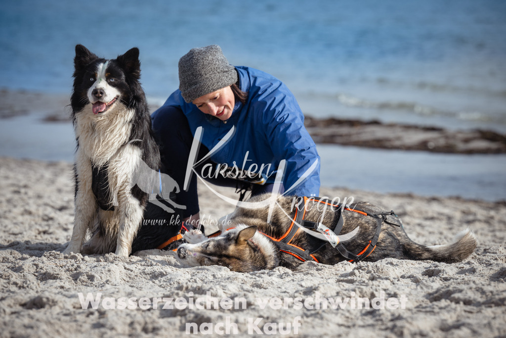 1240_ZZ98067 | kk-dogfotos